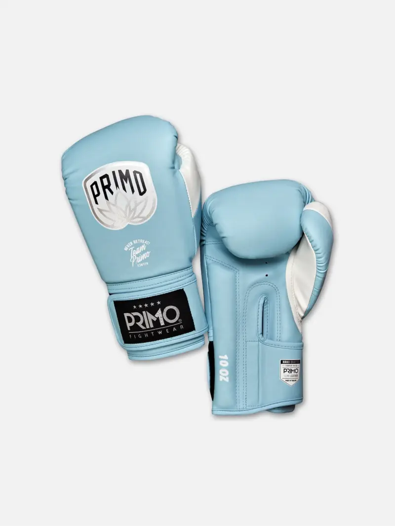 Emblem 2.0 Semi Leather Boxing Glove - Arctic Blue