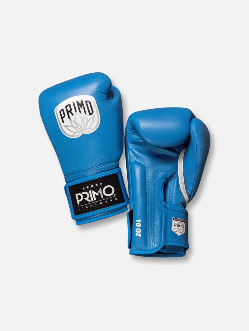 Emblem 2.0 Boxing Gloves - Mayan Blue