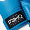 Emblem 2.0 Boxing Gloves - Mayan Blue - Image 2