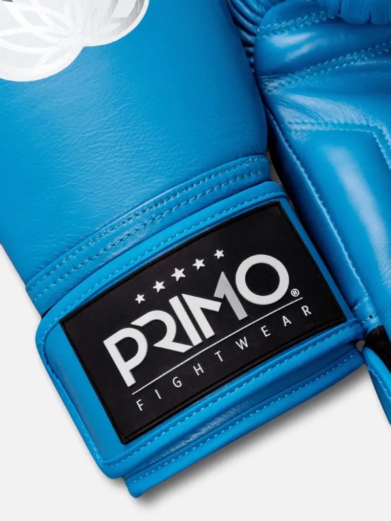 Emblem 2.0 Boxing Gloves - Mayan Blue - Image 2