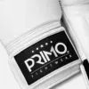 Emblem 2.0 Boxing Gloves - White Seraph - Image 2